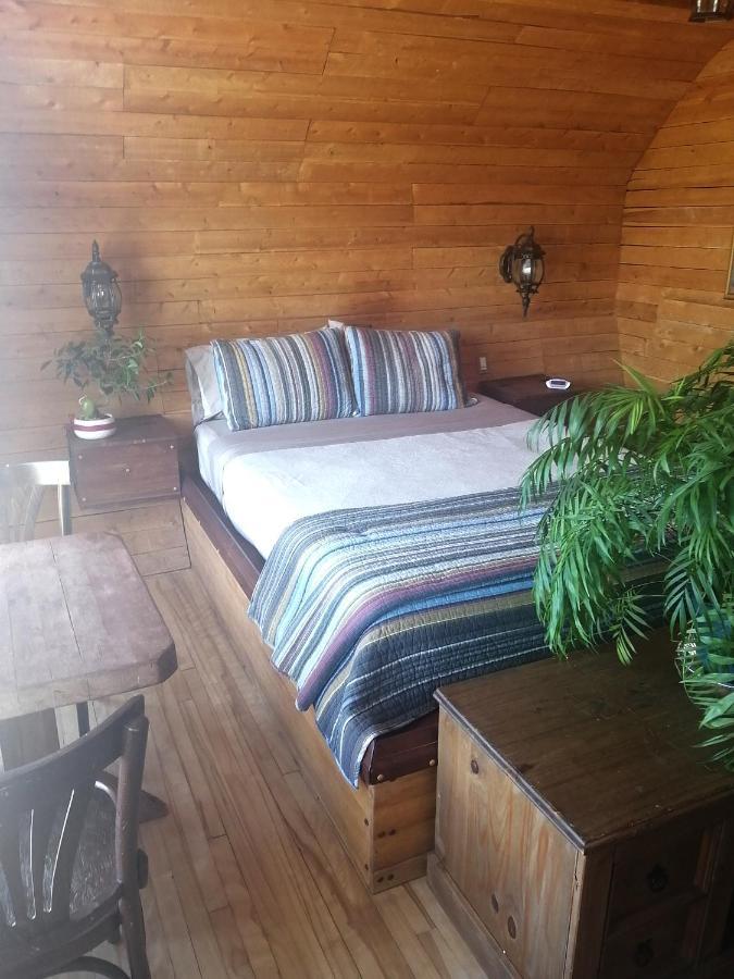 Bed and Breakfast L'Oasis Du Pirate Lévis Exteriér fotografie